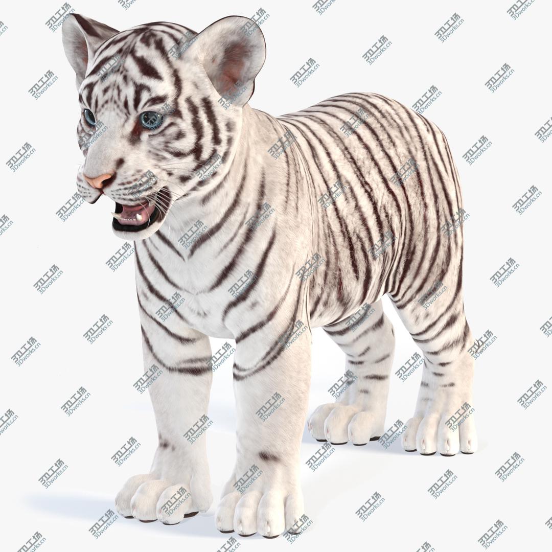 images/goods_img/20210319/White Baby Tiger 3D model/1.jpg